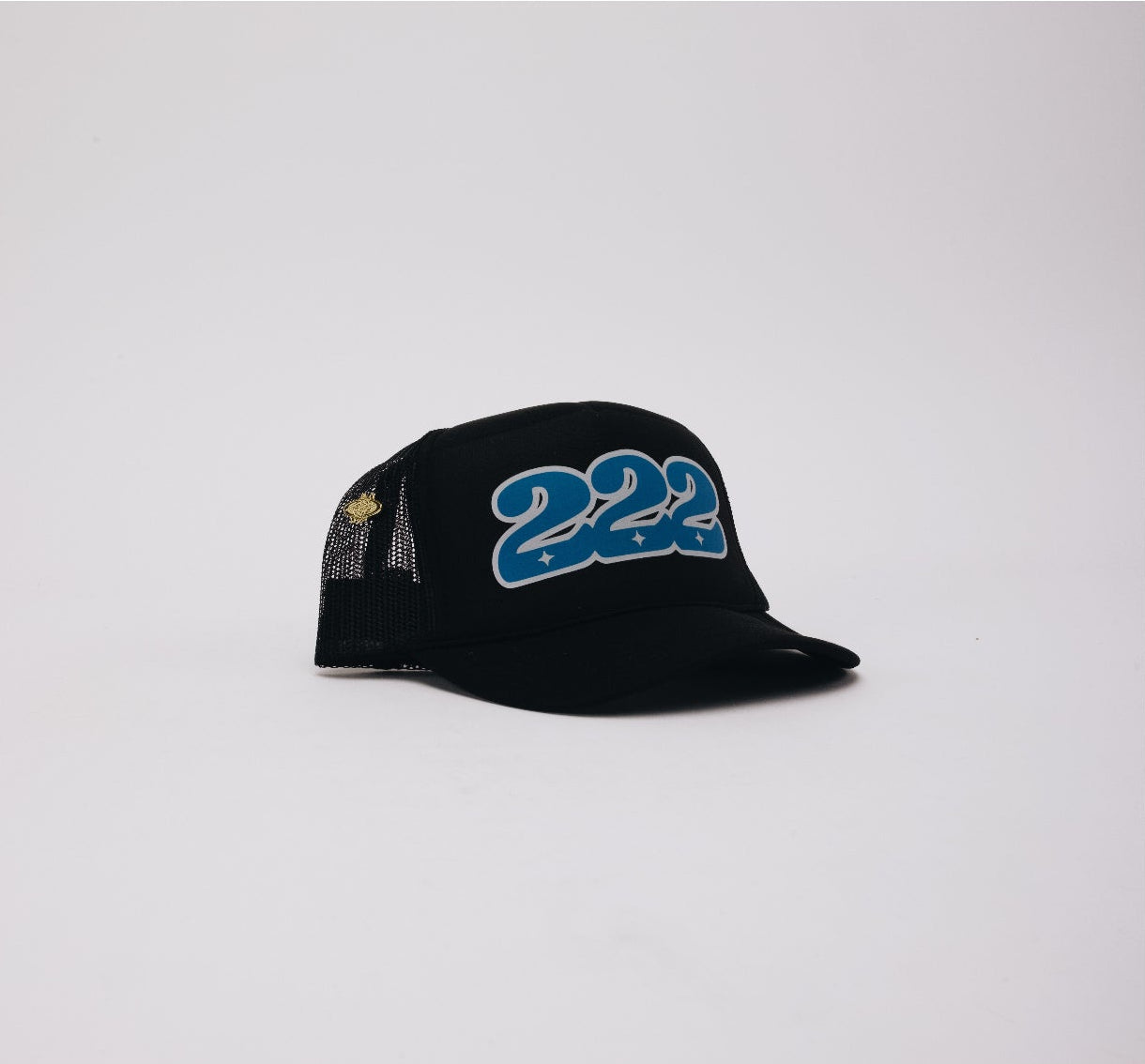 222 Blue Trucker